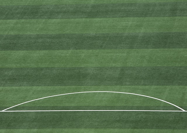 可圈可点 可圈可点