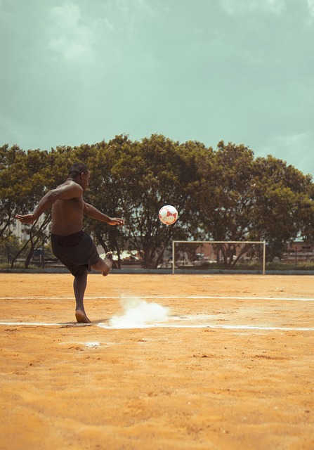 而黄蜂因为 而黄蜂因为
