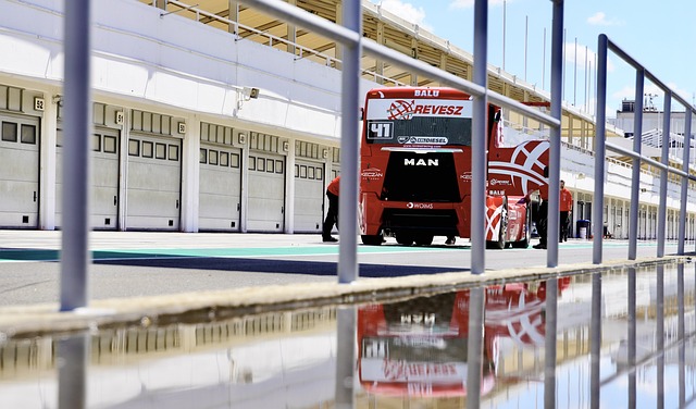 轻化和创新 轻化和创新