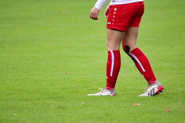 初期灵活的 初期灵活的