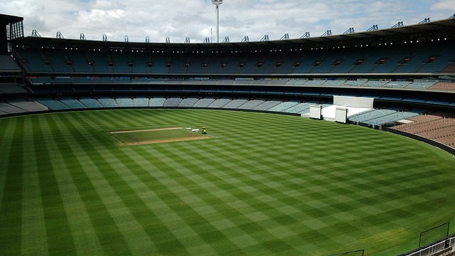 而对于许多 而对于许多