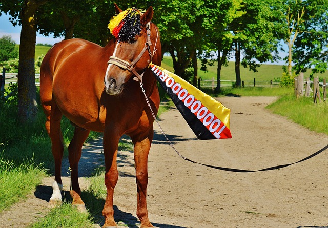 山东泰山队 山东泰山队