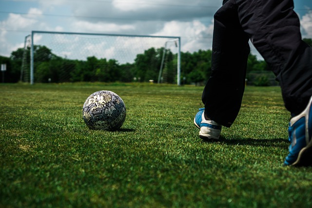 景的照片 景的照片