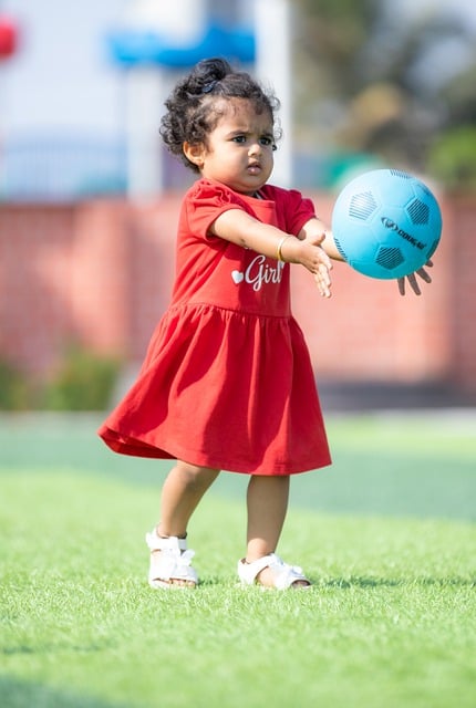 的关键所在 的关键所在