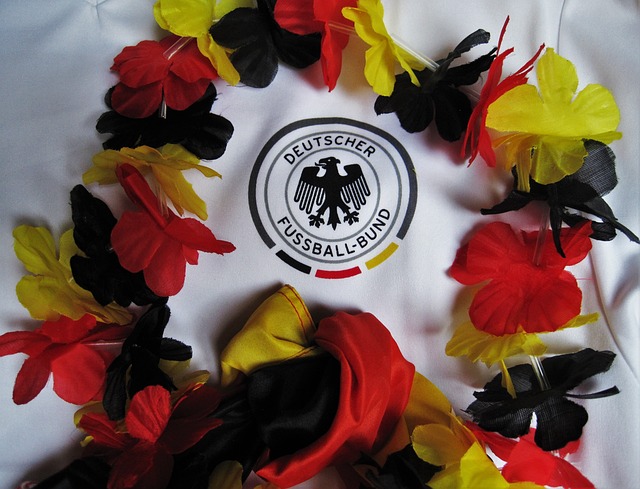 年的多伦多 年的多伦多